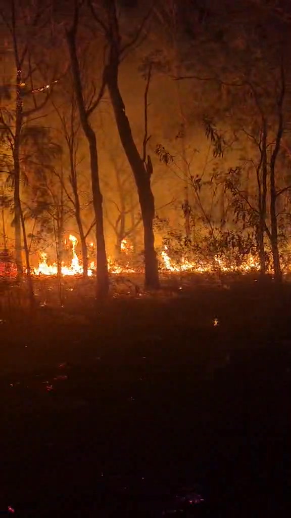 NSW RFS - Vacy Brigade on Reels