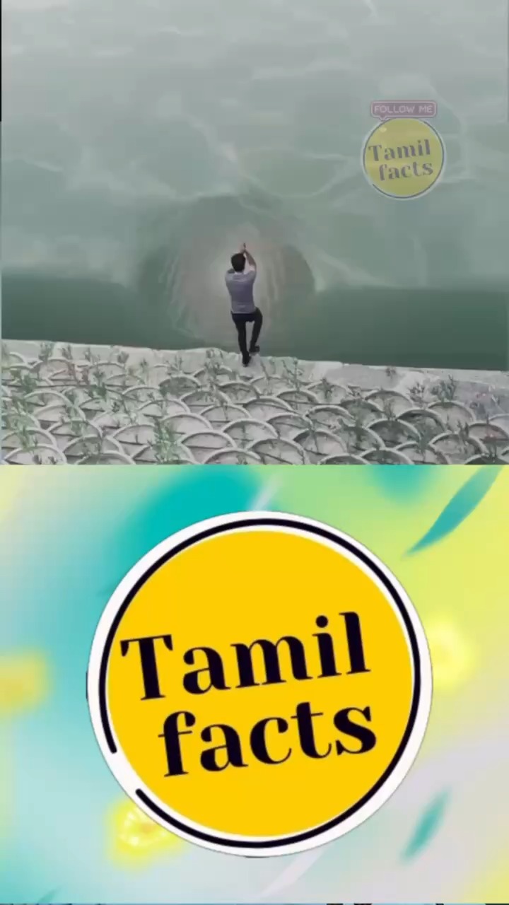Facts in Tamil Reels 214 FB @Tamilfactss Insta @Tamilfactss_ #tamilmeme ...