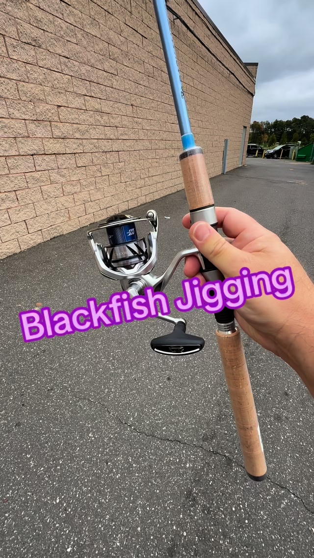shimano stella 14000pgc Reel 19 SW 14000XG Japan Import : Sports & Outdoors St Croix Fishing Reel fathers-25 new 25000 size Model:LBS-761-50 | 7'6