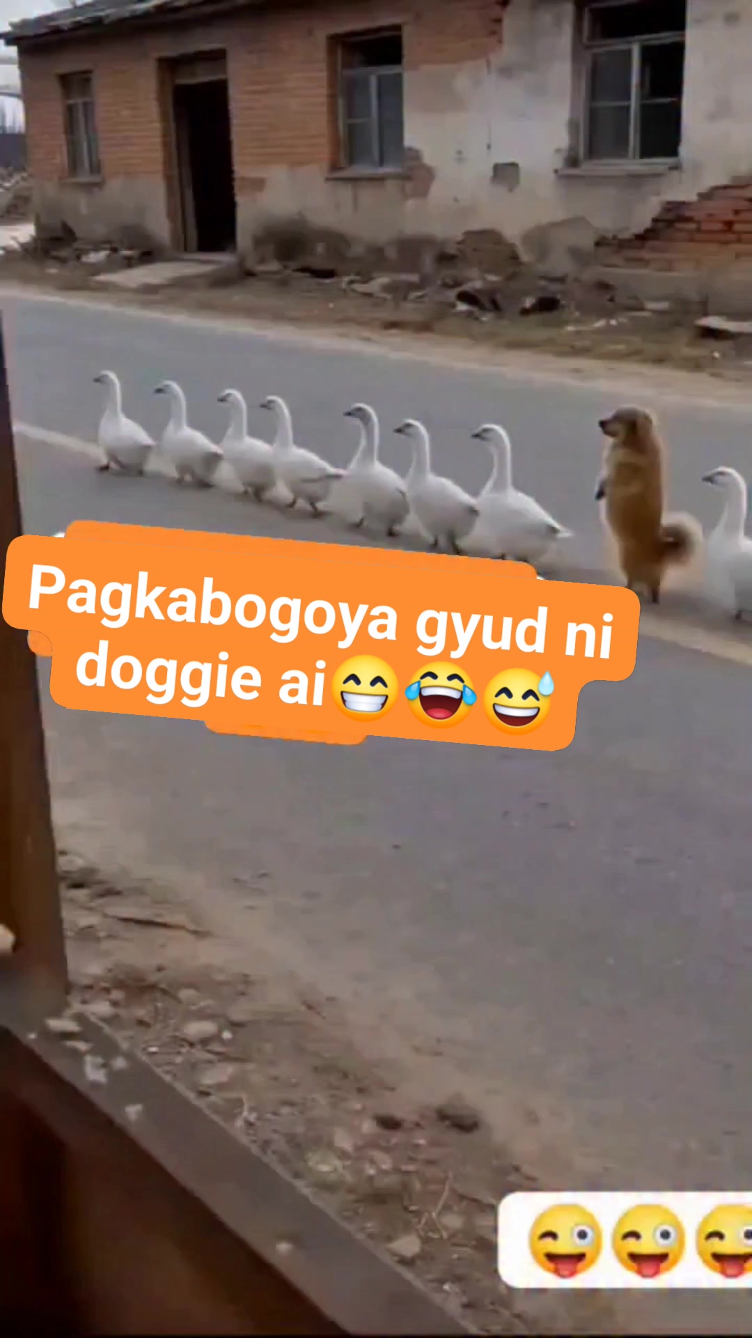 Pagkabogoya gyud ni doggie ai😁😆 | Jonaniza Ang Palco