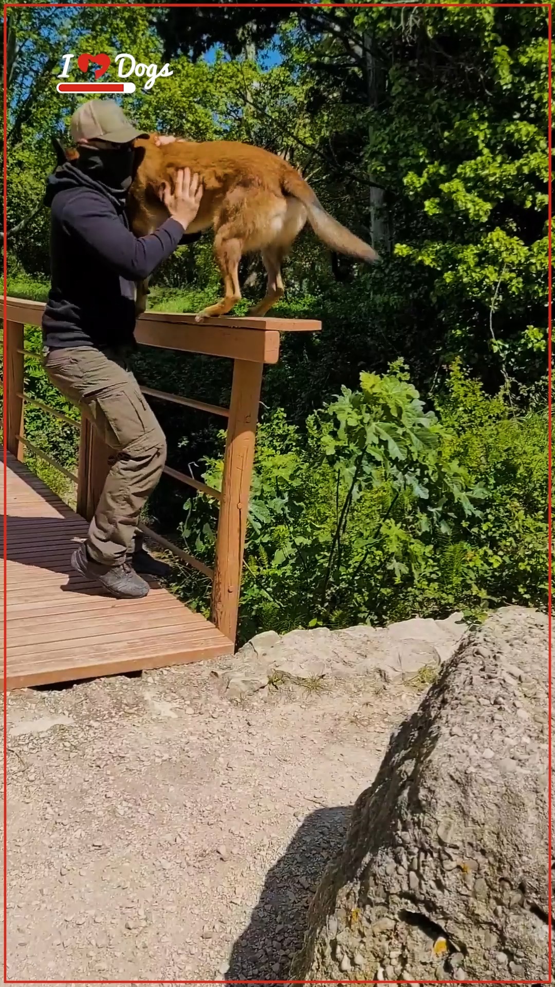 At iheartdogs.com your purchases matter! Check out this video to see ...