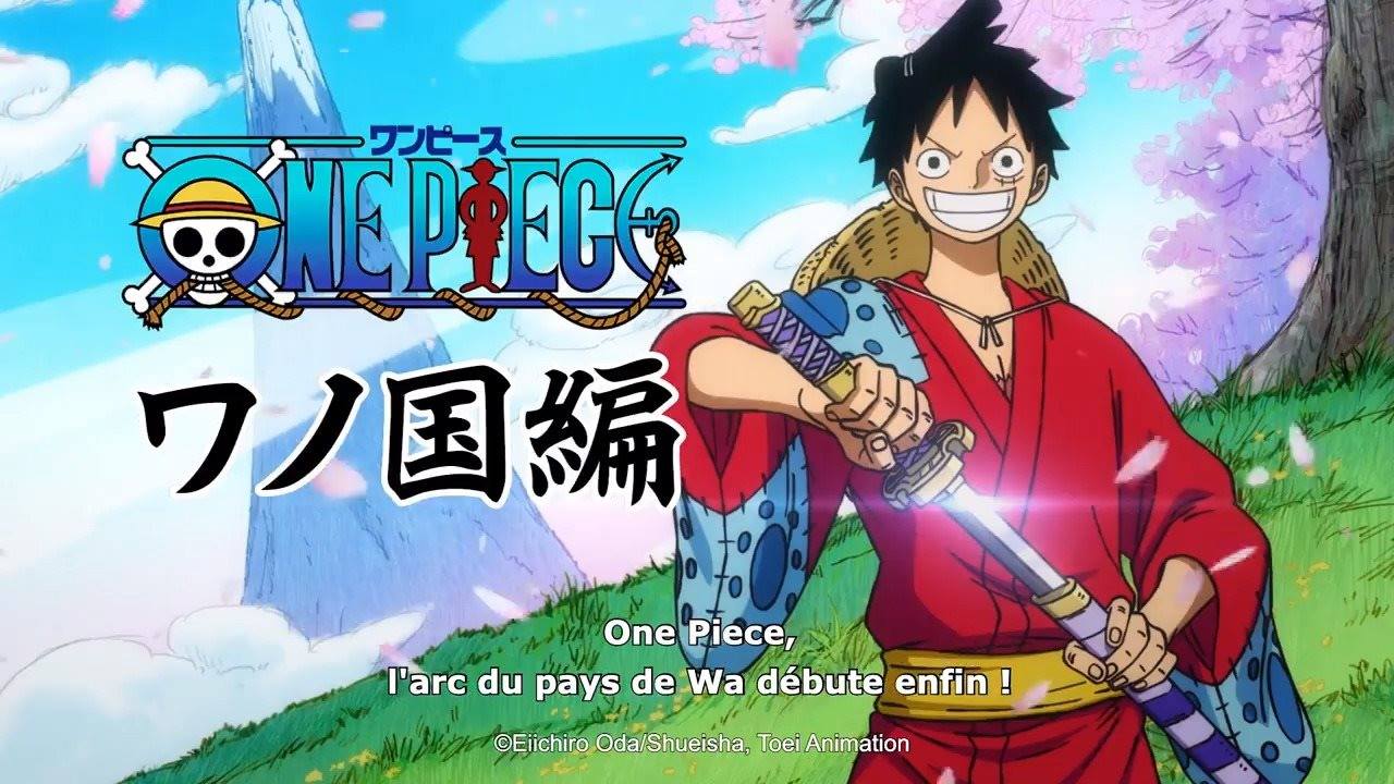 Adn One Piece Arc 1