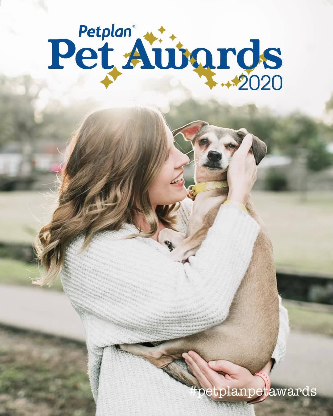 Petplan Pet Awards - Now Open! | The Petplan Pet Awards are offically ...