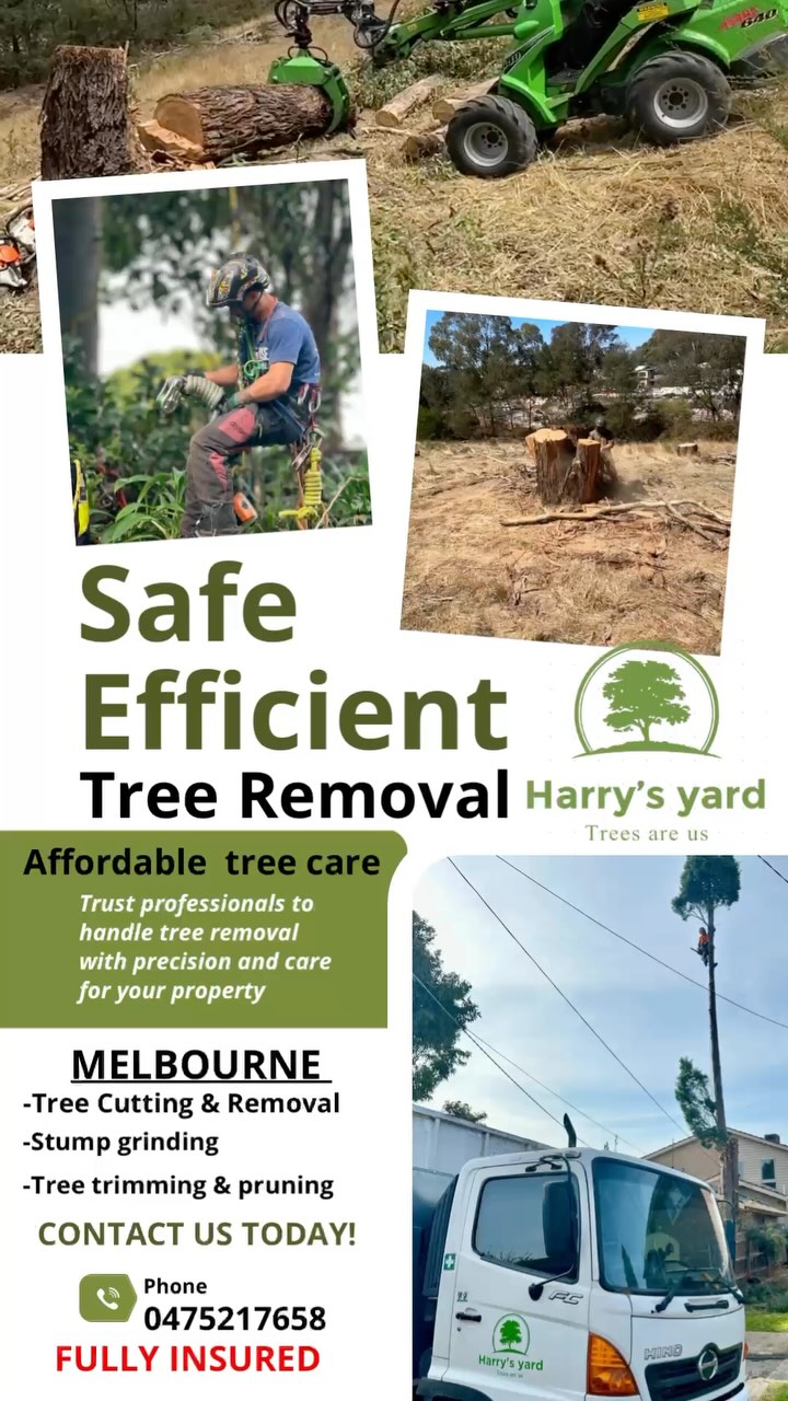 Harrys Yard: Tree Removal & Arborists Melbourne | Melbourne VIC