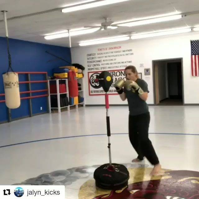MaxxMMA - Kit Sac De Frappe Cobra Reflex 2.0 - Entraînement Boxe, Muay Thai, MMA - Réglable En Hauteur