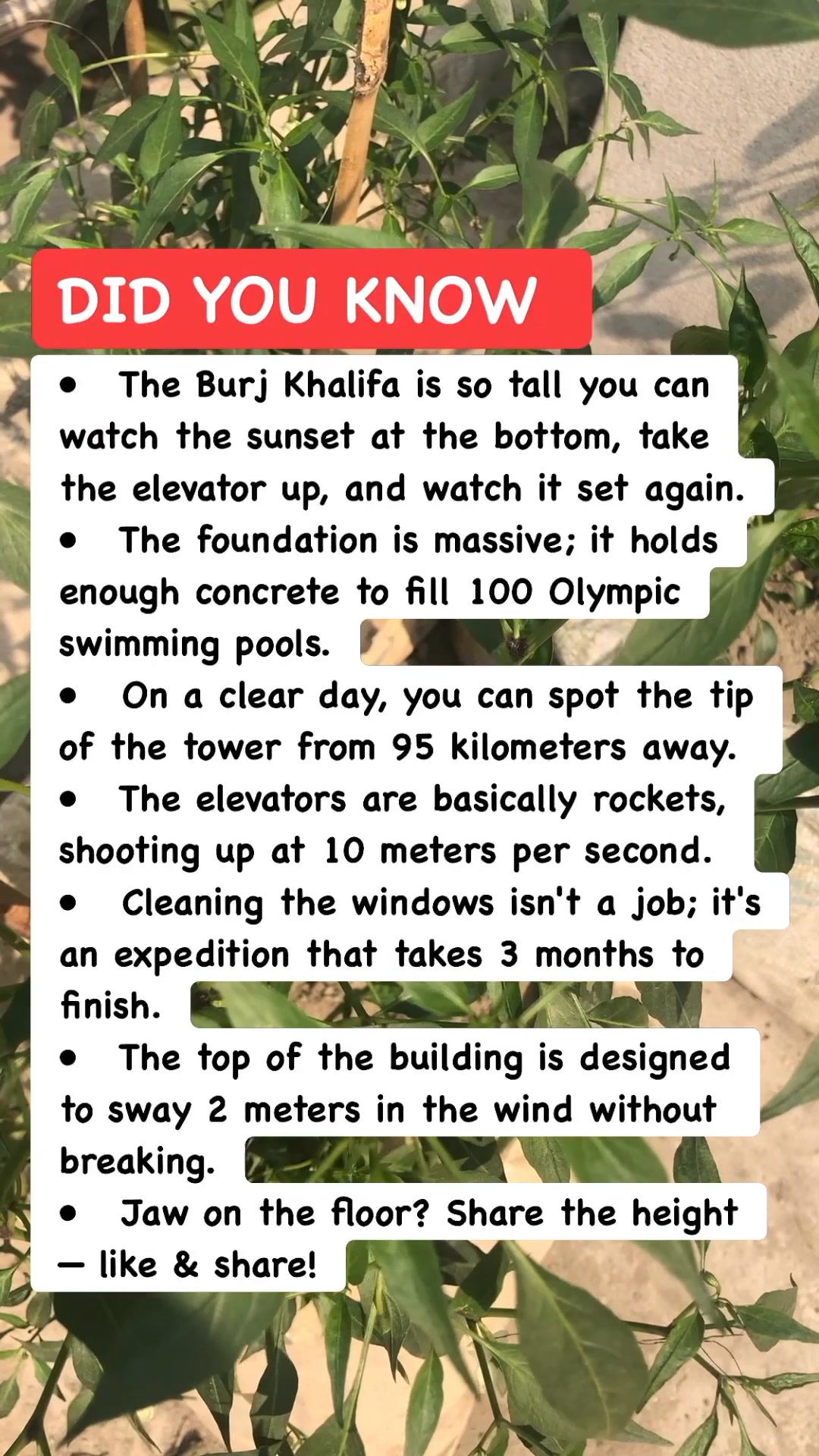 The Skyscraper That Broke Physics 🏙️ #dubai #engineering # ...