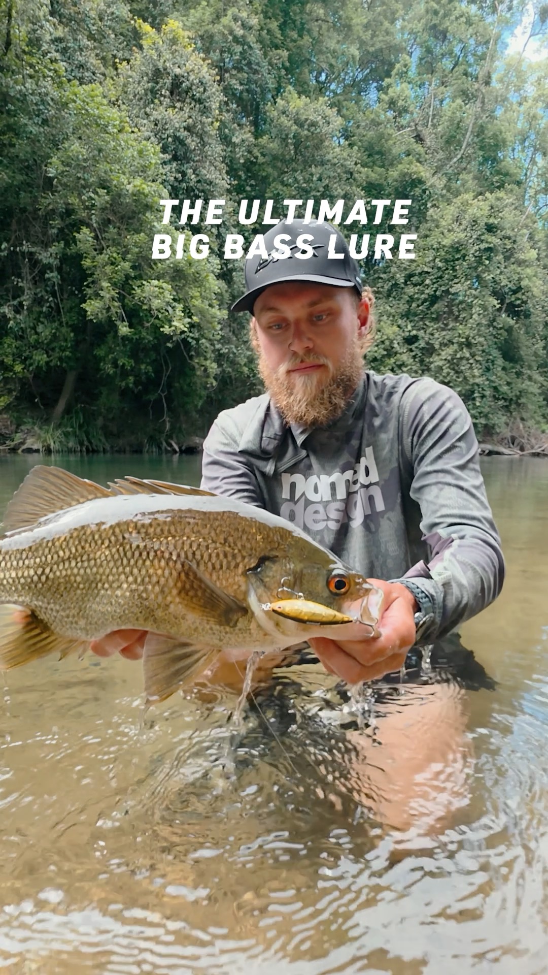 bait fishing tackle box Pro x 6 Month Shop Discount Quantum Pulse or just about any Fishing - Terminal Tackle Color:T.S. Special