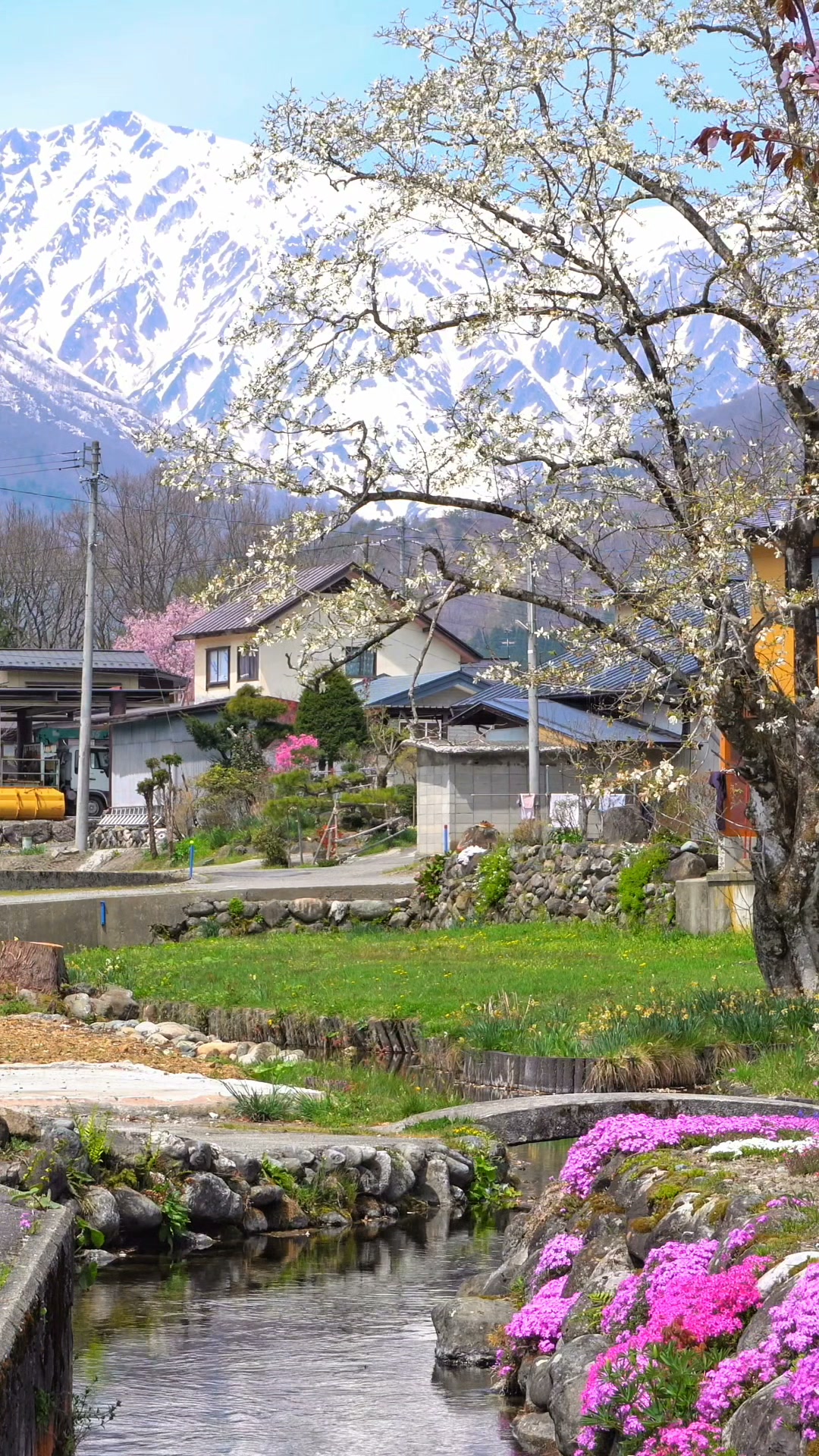 まるで絵のような白馬村の春🌸 Hakuba Village in Spring 🇯🇵 #japan