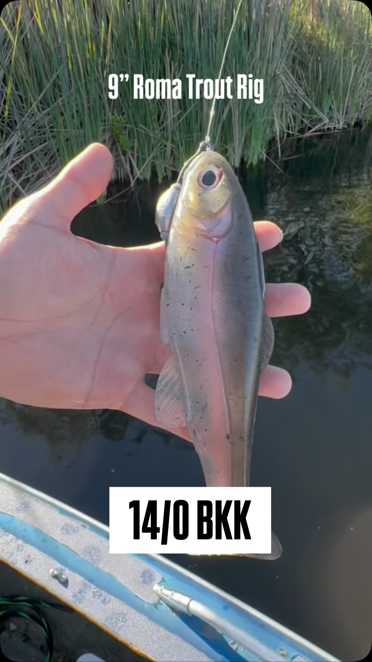 How to Rig the 9” Roma Trout Quick breakdown of my 14/0 BKK Titan