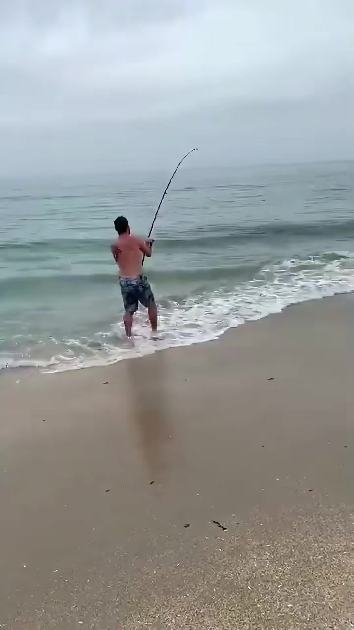 BuzzerFish