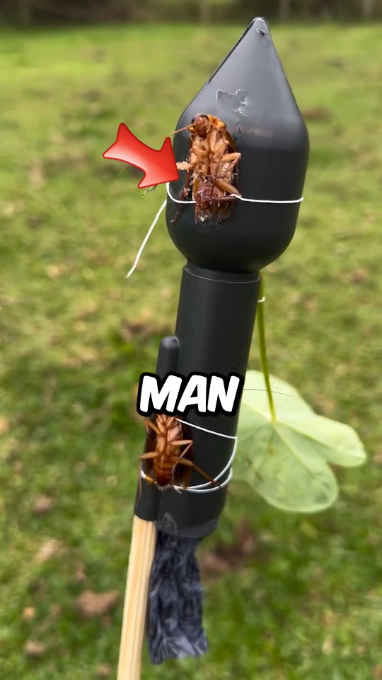 The WEIRDEST Revenge Method I've Ever Seen! 🤯 Cockroaches and a ROCKET ...
