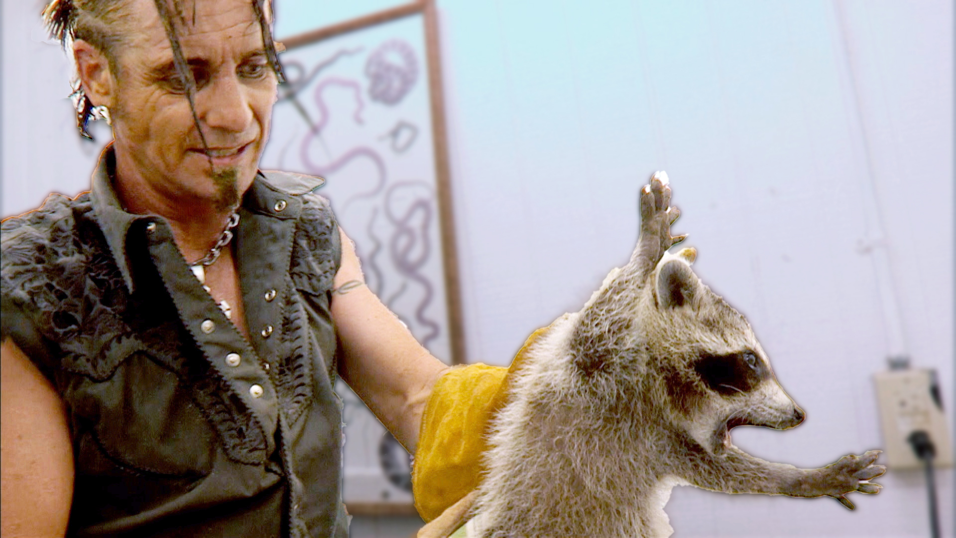 You won’t believe how these raccoons got caught! 🦝 # ...