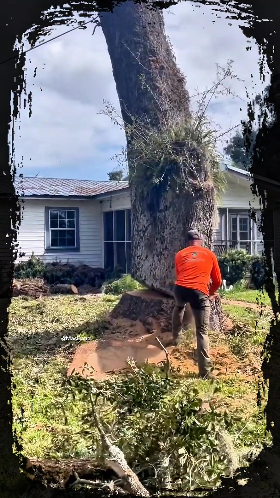 A large tree trunk fell down next to the house #treecutting #satisfying ...
