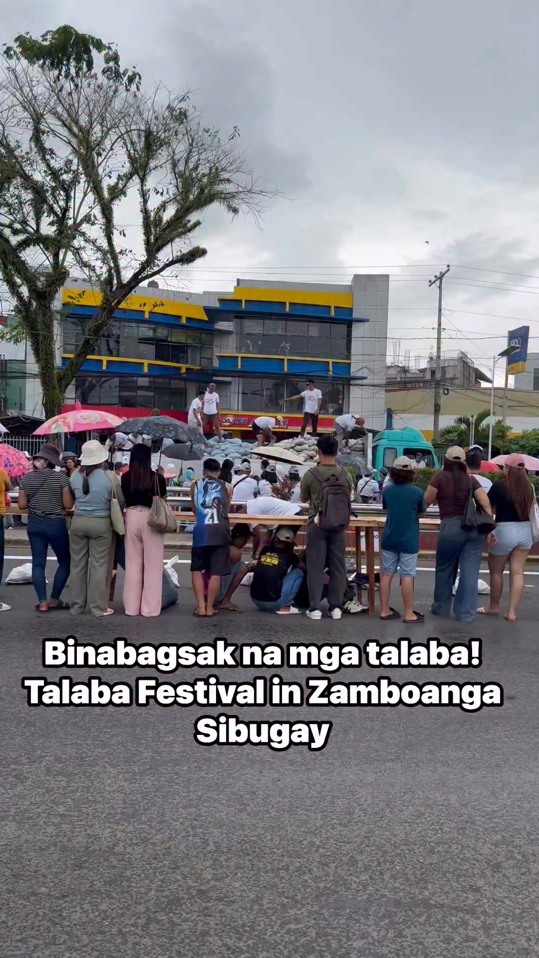 Bagsakan na ng talaba! Talaba Festival | Marc Logan