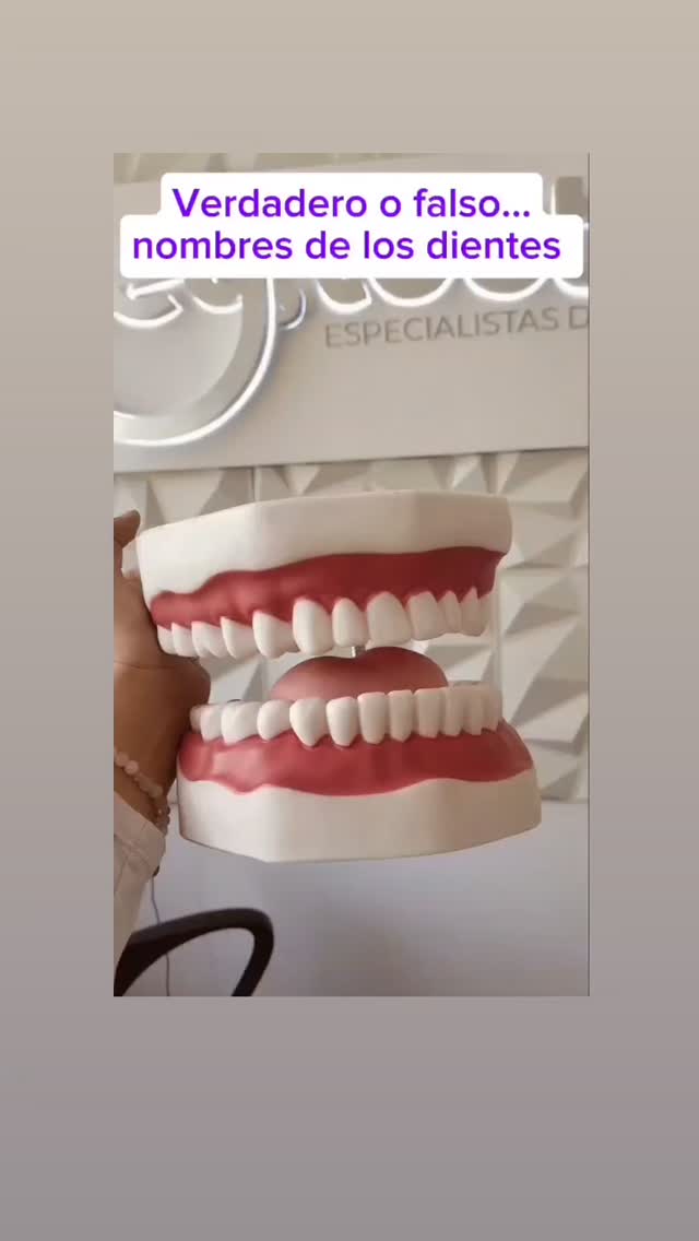 Hey Tooth | Mexico City