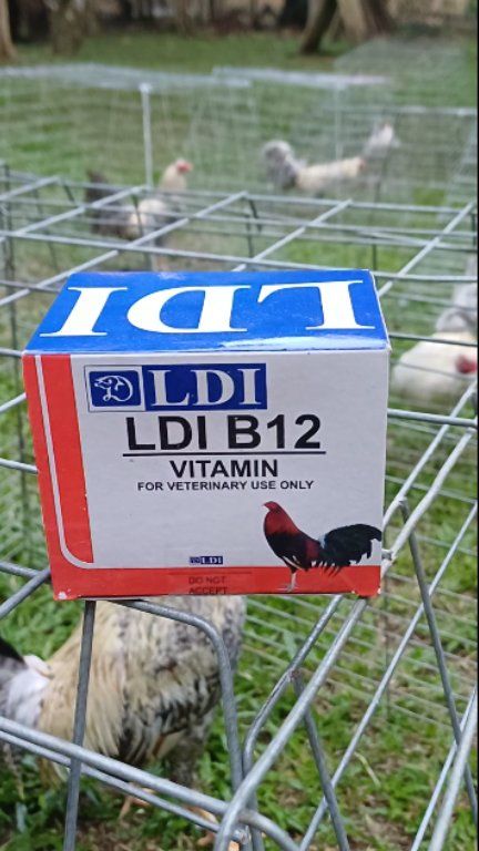 ldi b12 injectable SURE SHOT GALLOS Adenosylcobalamin Size:50mL NOT AVAILABLE TO THE Lack of Vitamin B12 doctor-only