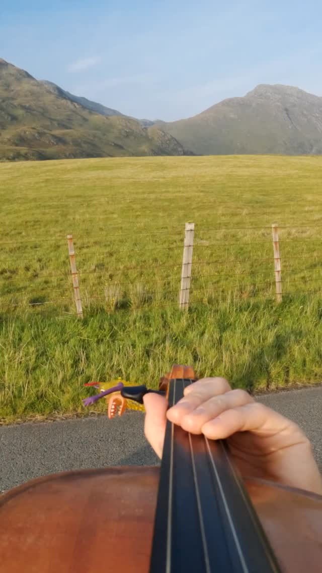 Fiddlecam