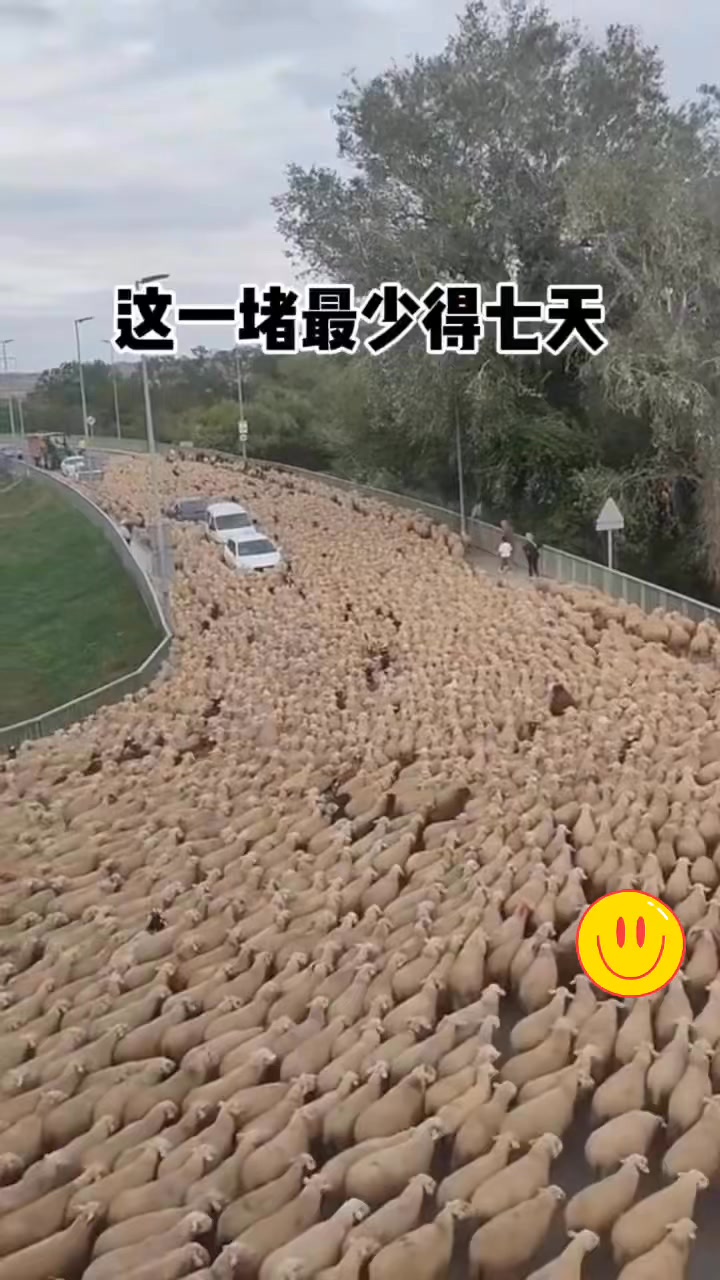 這種情況得請幾天假合適呢這種情況得請幾天假合適呢#搞笑配音[話題]# #搞笑視頻 #搞笑 #funny | 天天笑一笑 | Facebook