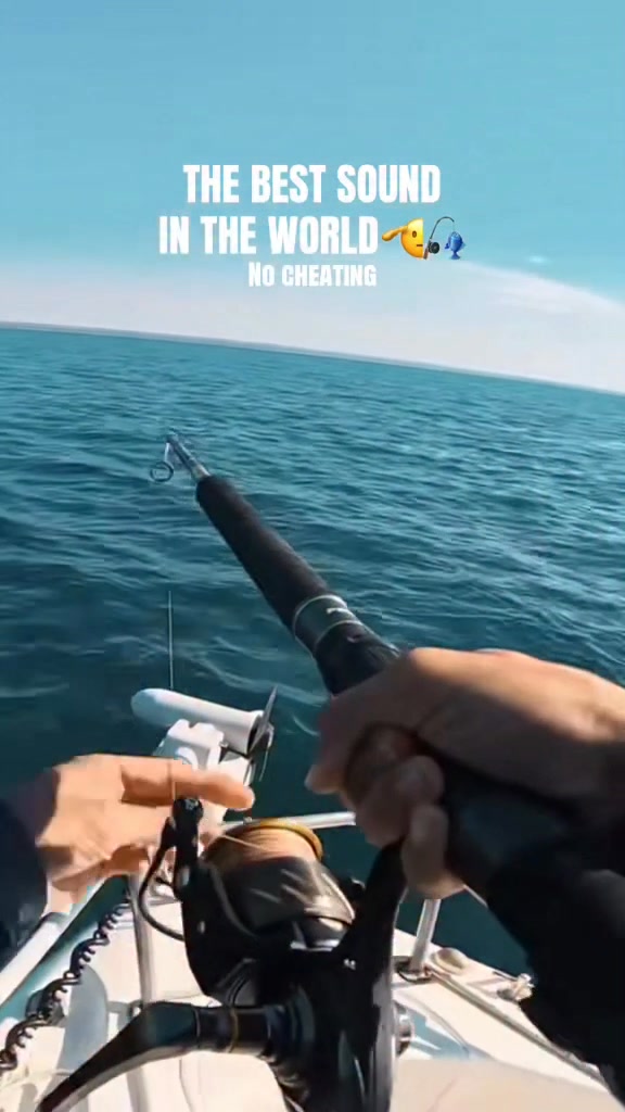 baitrunner reel saltwater OC : Spinning Fishing Reels : Sports & Outdoors Triton 4500 Plus An ergonomic machined aluminium Rod Option:701MH How to Build A