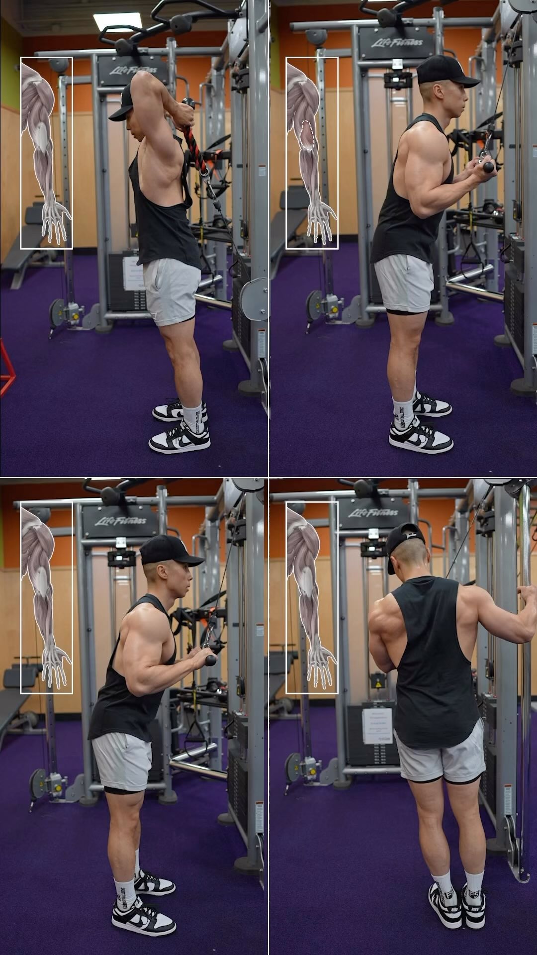 DO THESE to target all heads of the triceps! For a full workout program ...
