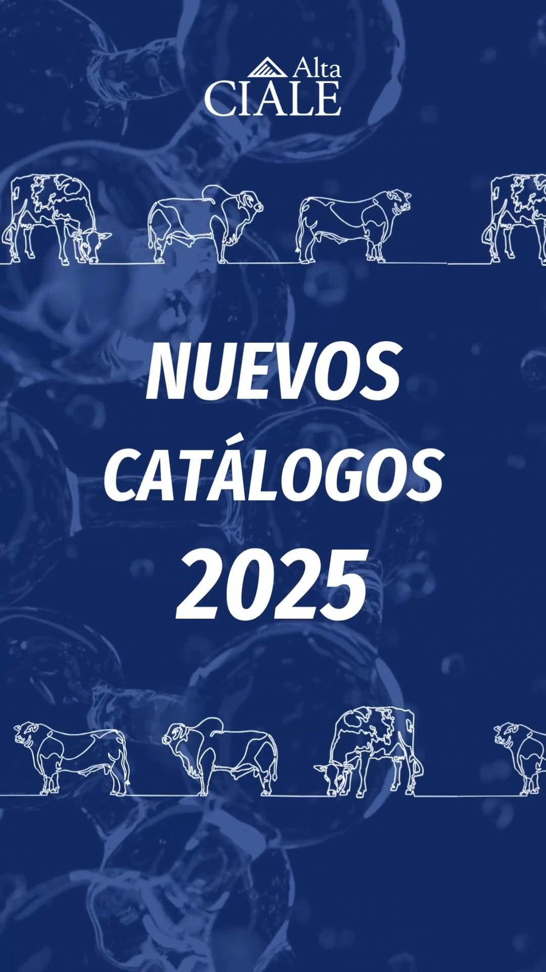 🔹 Lanzamos el catálogo CIALE Alta 2025 🔹 Como cada año en Palermo ...