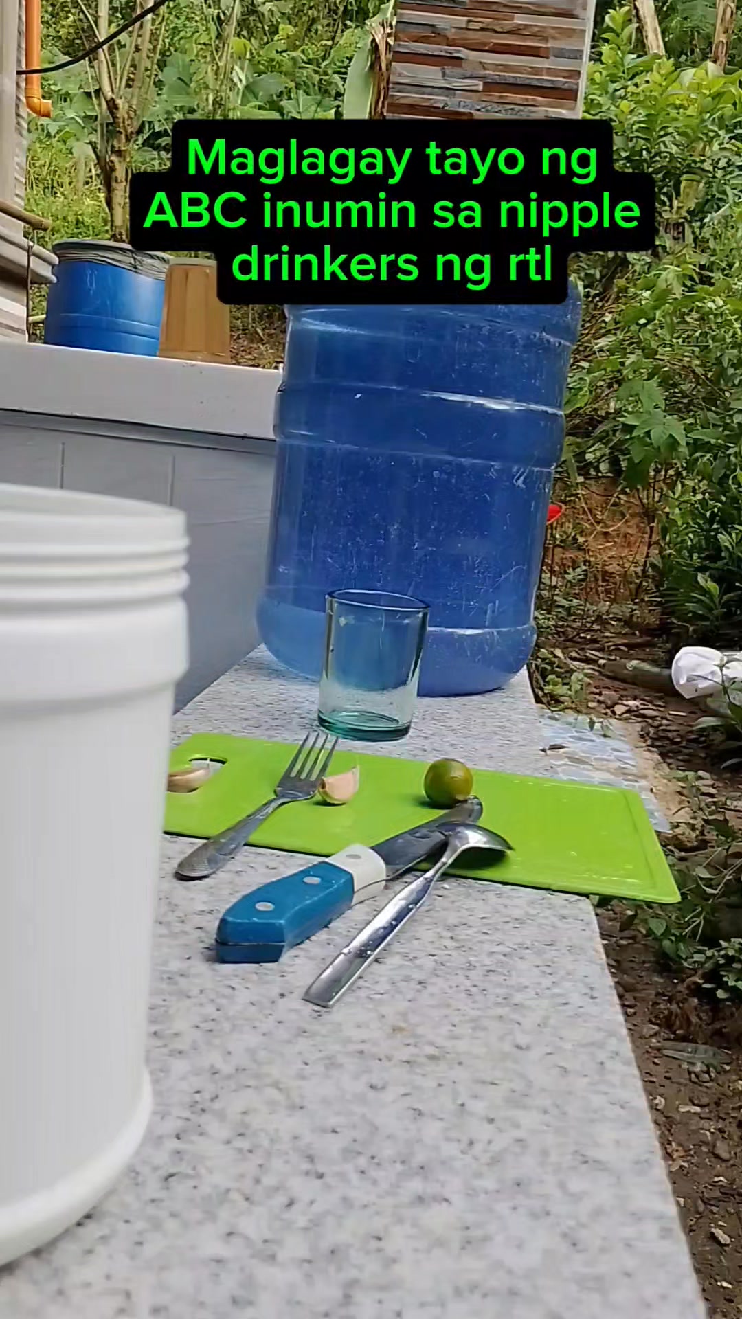 Gagawa tayo ng inumin ng mga manok rtl para water drinkers dahil uso ...