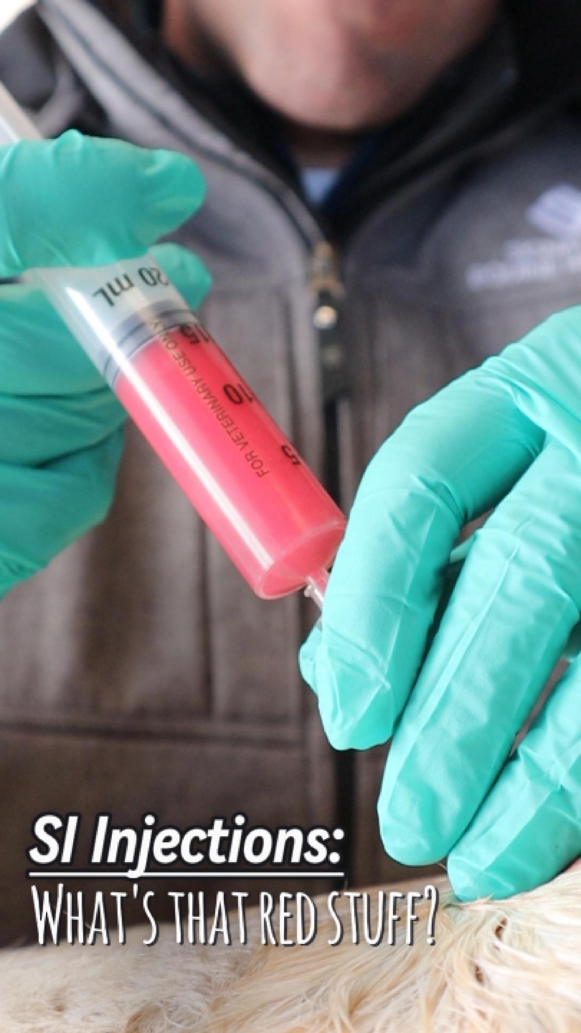 The 'magic' pink injection. Injecting Vitamin B12, mixed with whatever maintence injection you choose (most commonly used with corticosteroids), is often used to combat muscle soreness, spasms, or general/excessive tension. In performance