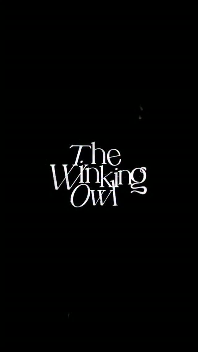 The Winking Owl (@thewinkingowl) • Facebook