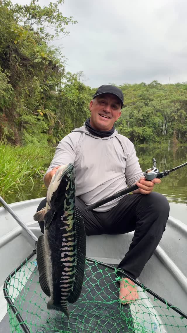 benefit of push cast fishing reel Sougayilang Spincast - 3.9:1 High Speed, All-Metal Gears, 10LB Drag - Easy Button Casting for Bass, Trout, Catfish Lb. Test:20 Stainless Steel Big Game tna