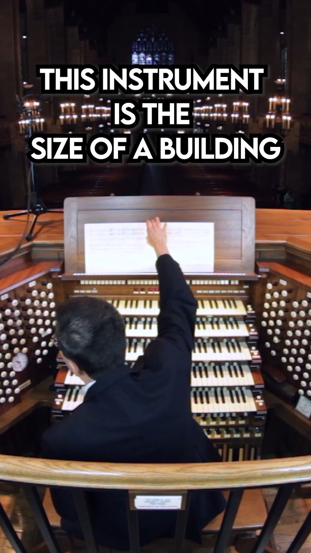 Pipe Organ (an instrument the size of a building) | Rob Scallon | Facebook