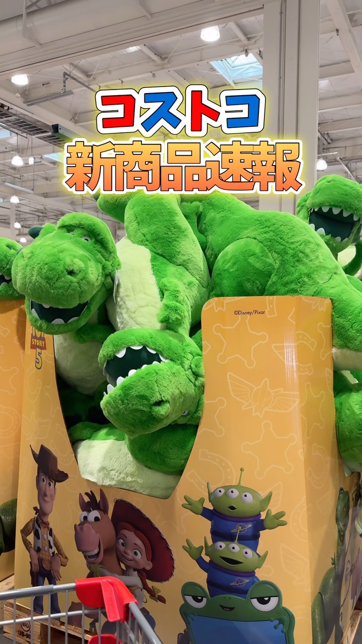 ◇𝐂𝐎𝐒𝐓𝐂𝐎 𝐫𝐞𝐯𝐢𝐞𝐰◇ 【購入品】 ○トイストーリー レックス