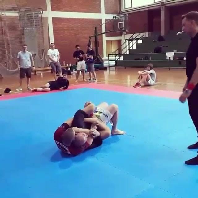 I was curious how some may have taken Danaher back attack system
