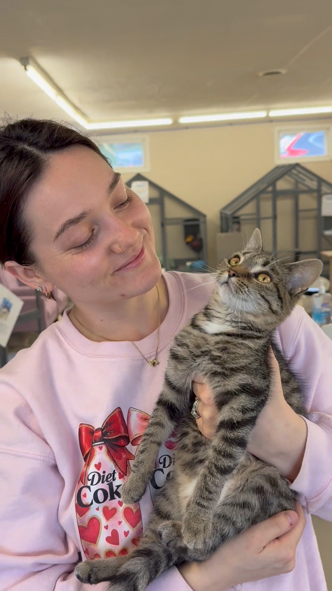 Cat Works | Reading PA