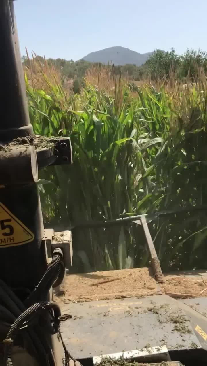 Maize Chopper Maize Harvester Silage Machine Fodder Harvester