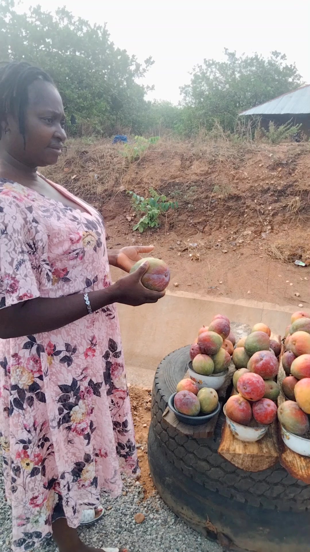 Apple Mango Variety Identification