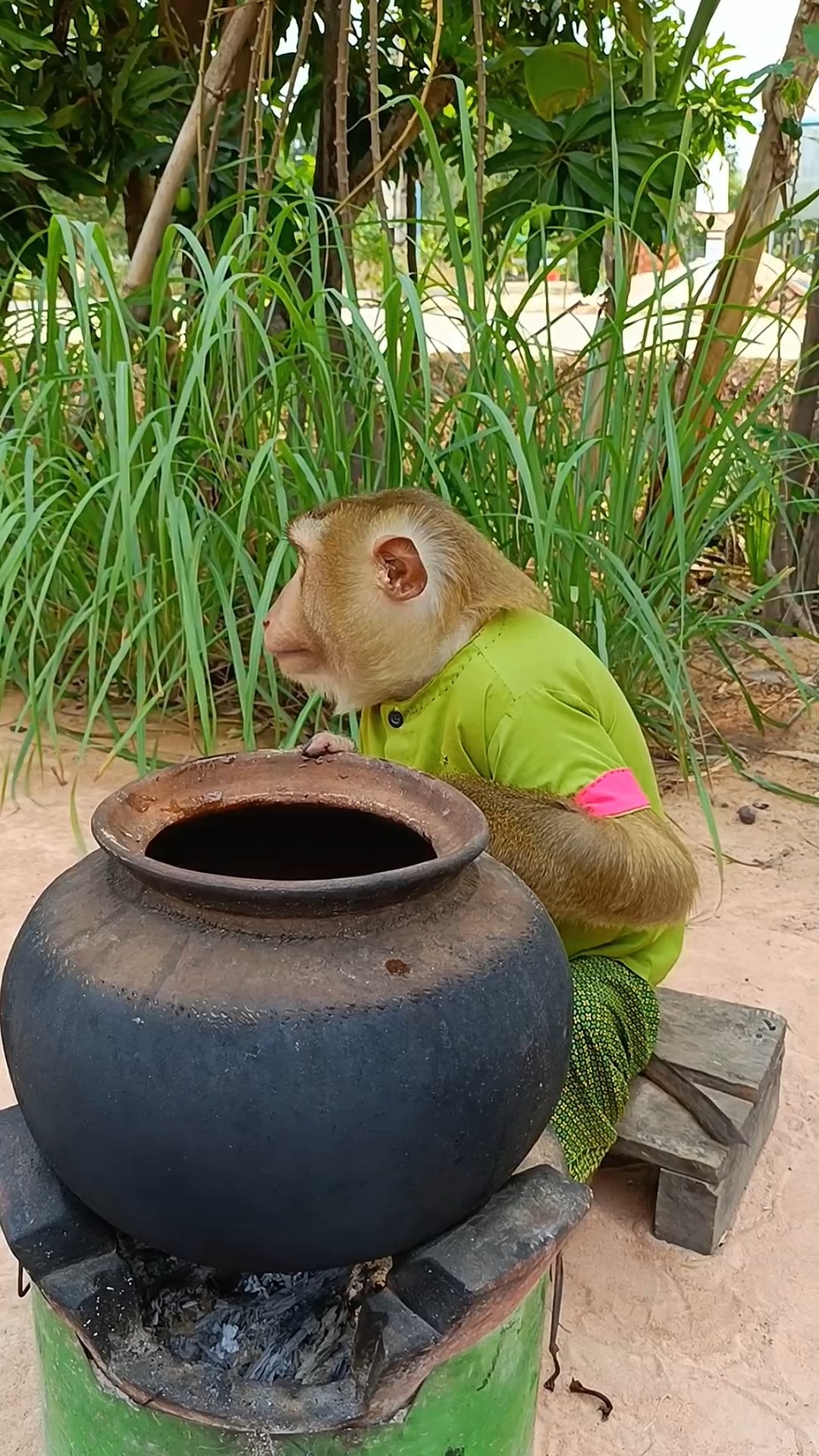 A Farmer Monkey Boil Green banana At Home | Sokya Video | Facebook