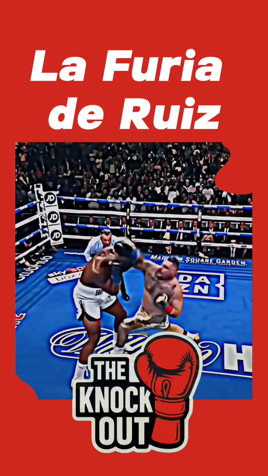 La Furia de Ruiz #boxeo #boxing #knockout #boxinglife #fitness # ...