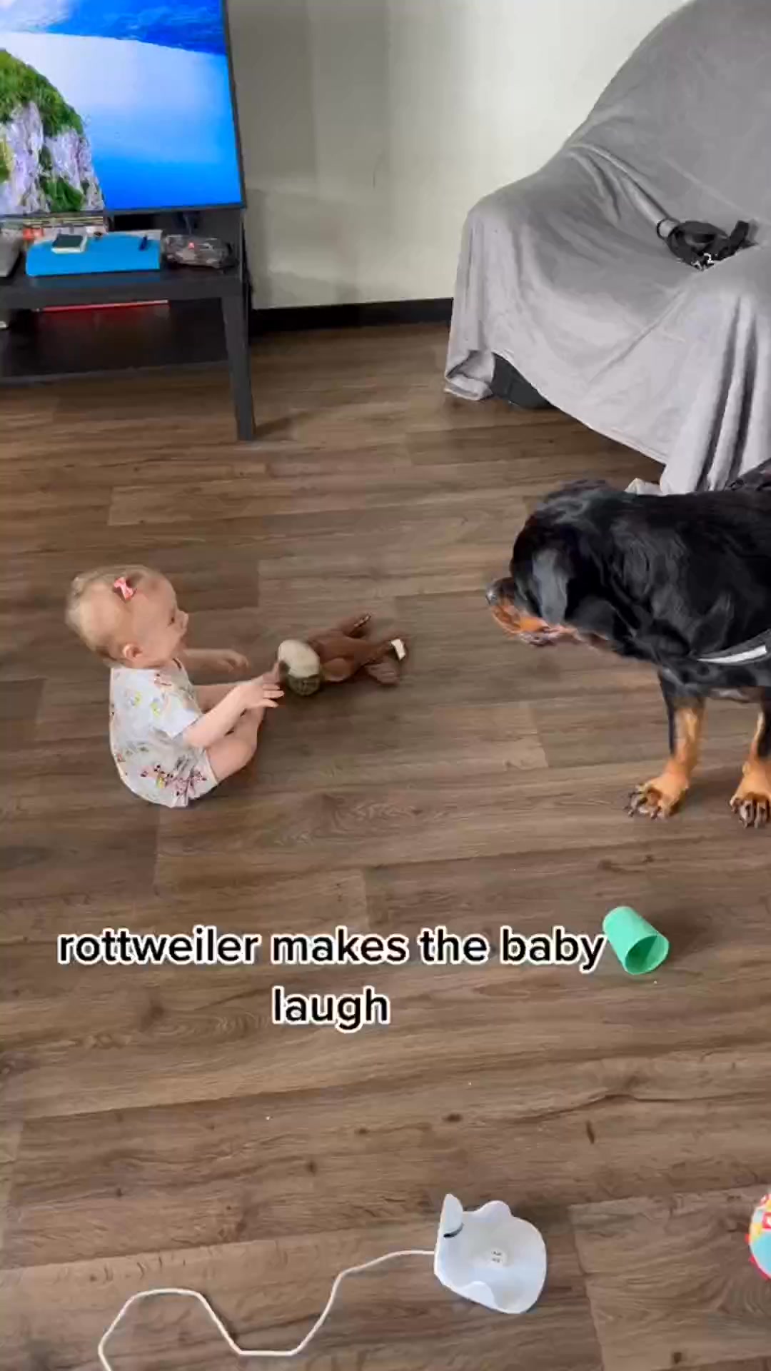 rottweiler makes the baby laugh 🤣 #rottweiler #baby #cutedog # ...