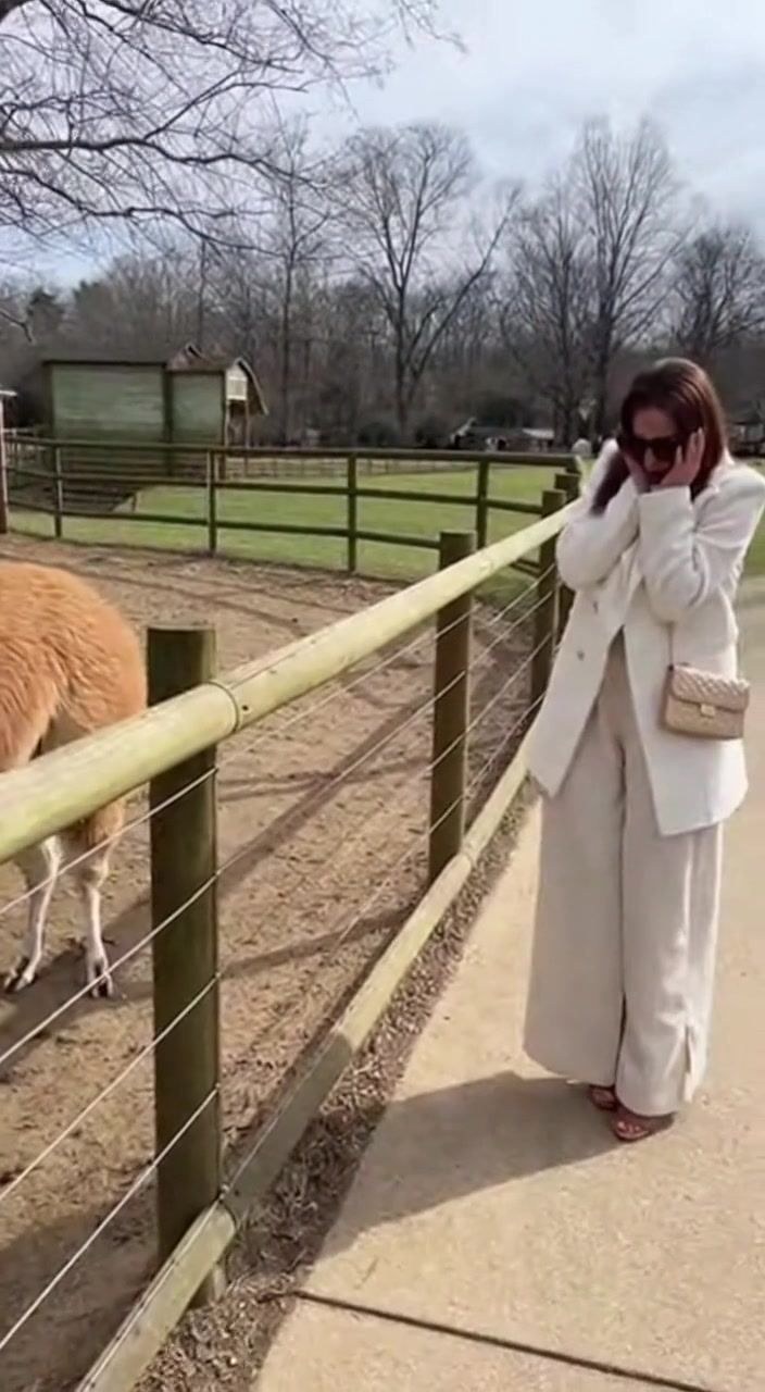 Unexpected Llama Spit! A woman gets a funny surprise from a llama ...