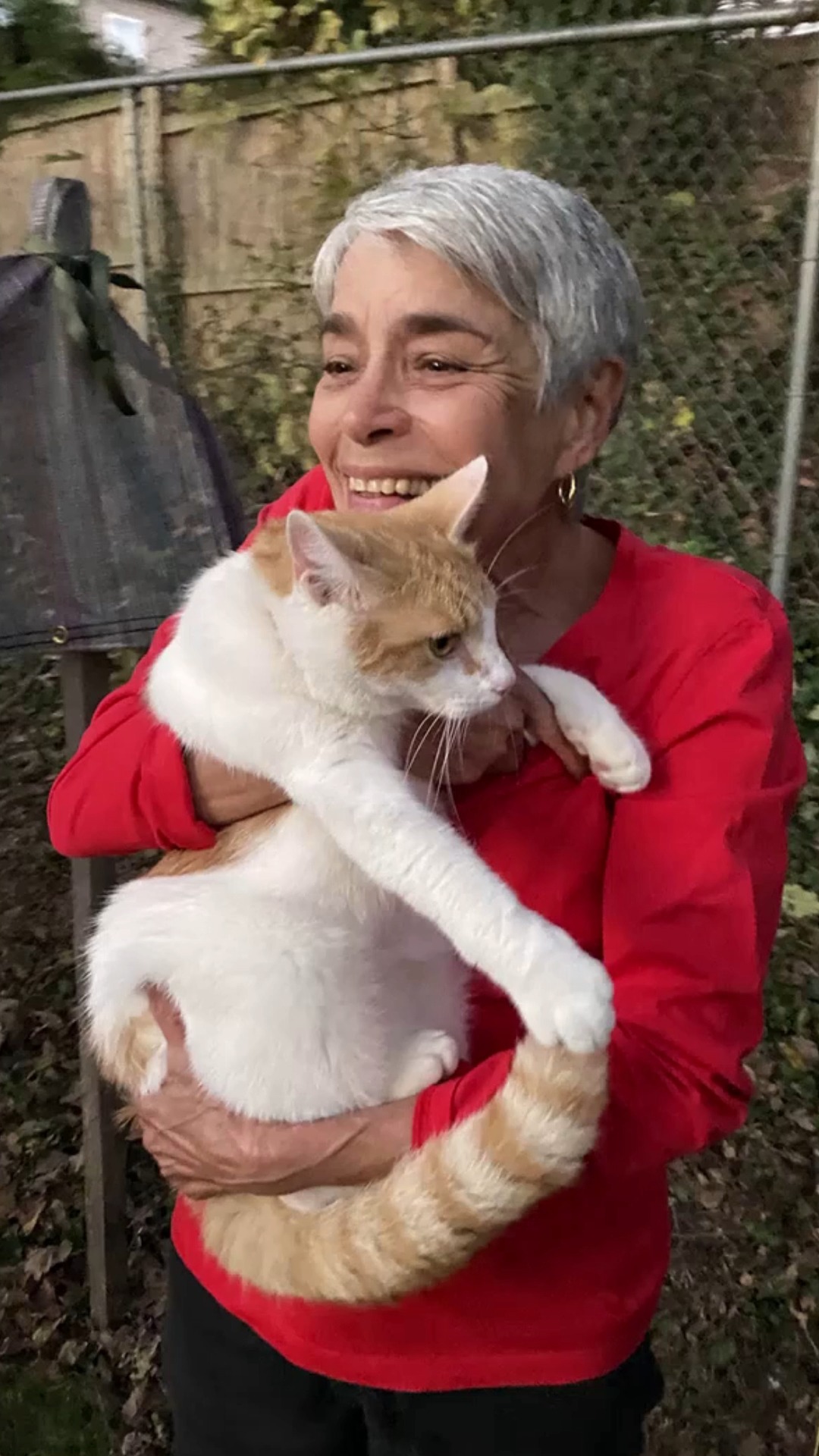 When Delores Bushong’s beloved cat Hank got stuck in a tree more than ...