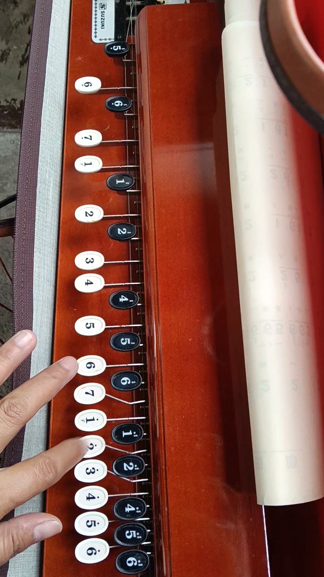 Navarro Japansurplus on Reels