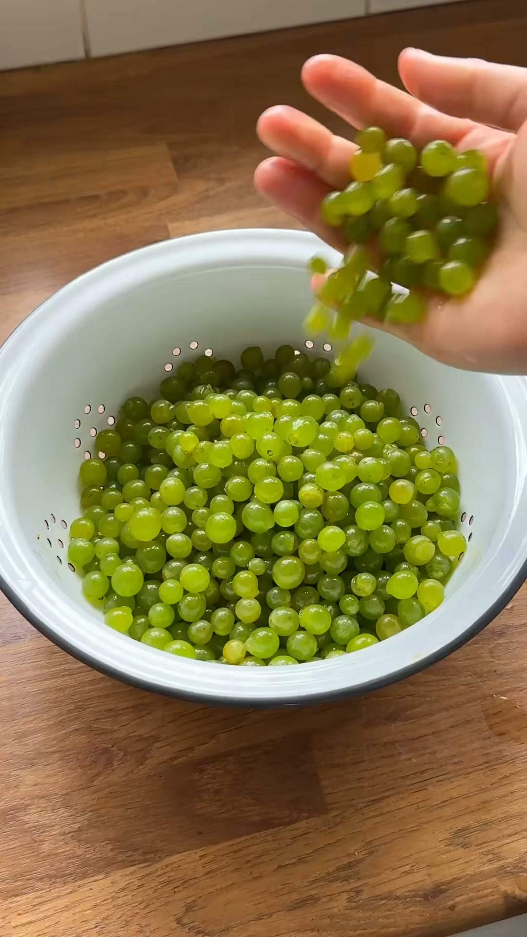 Grapes! I planted my grapevine in the summer of 2023. It spent