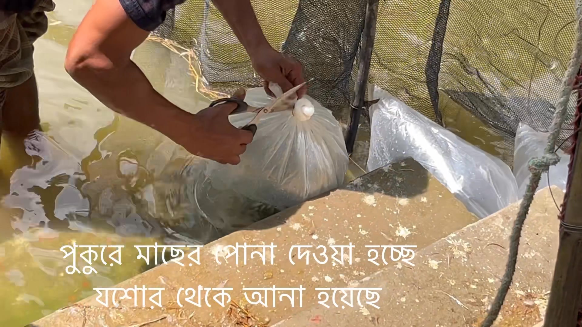 মাছের পোনা নয় এগুলো, এগুলো হলো স্বপ্ন! | Dr Taslima Begum