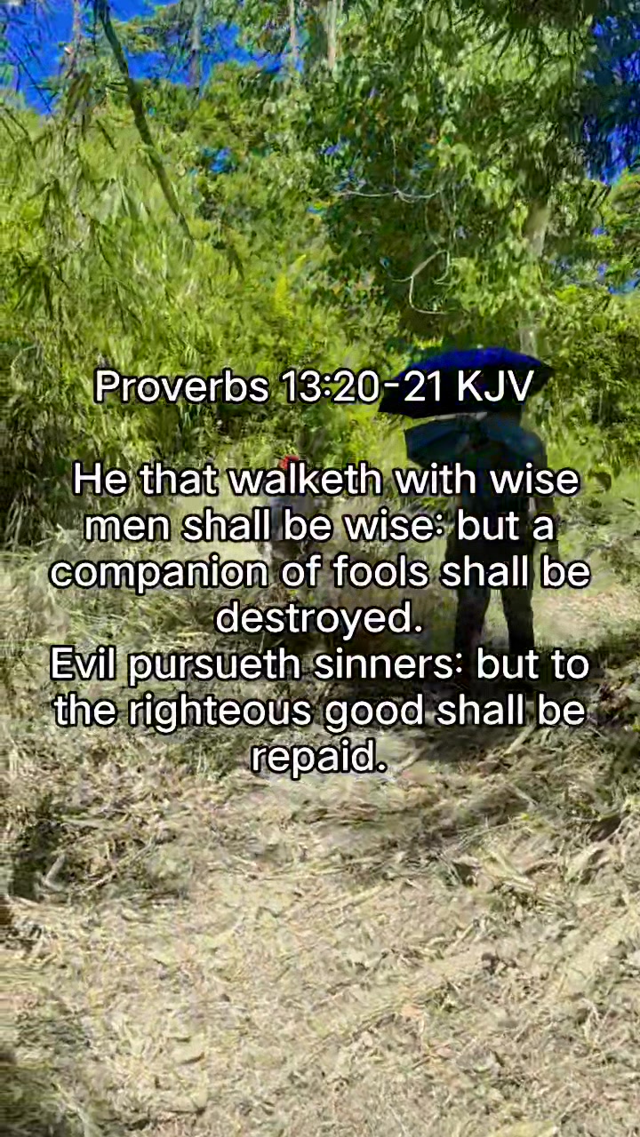 He that walketh with wise men shall be wise: but a companion of fools ...