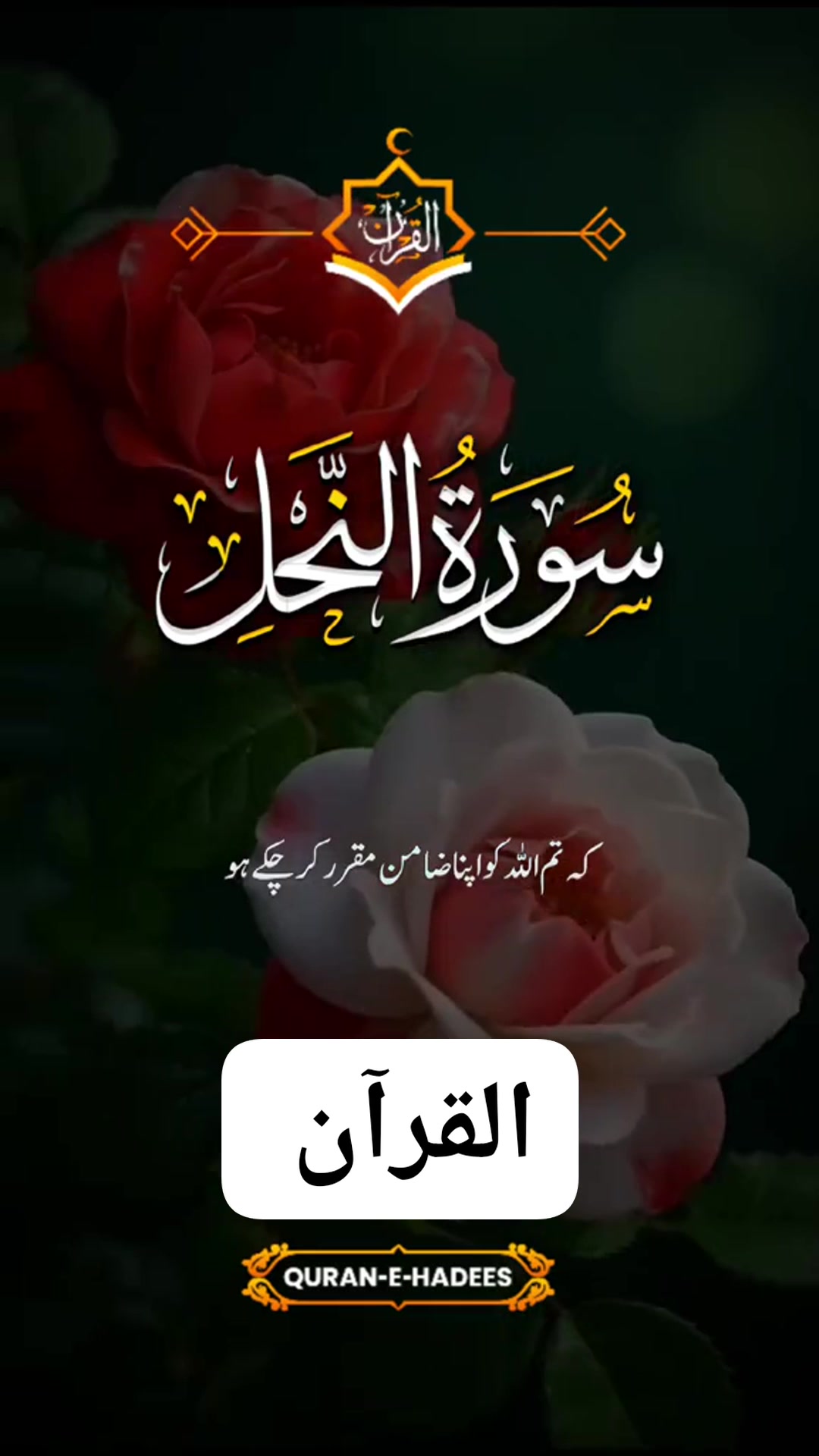@highlight #eveeyone #islamic #ranaakmalshahzad84 | Rana Akmal Shahzad ...