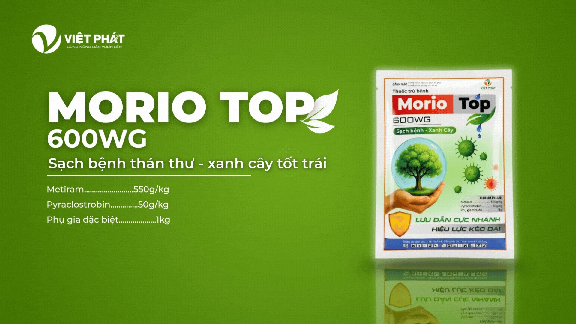 Morio top 600WG