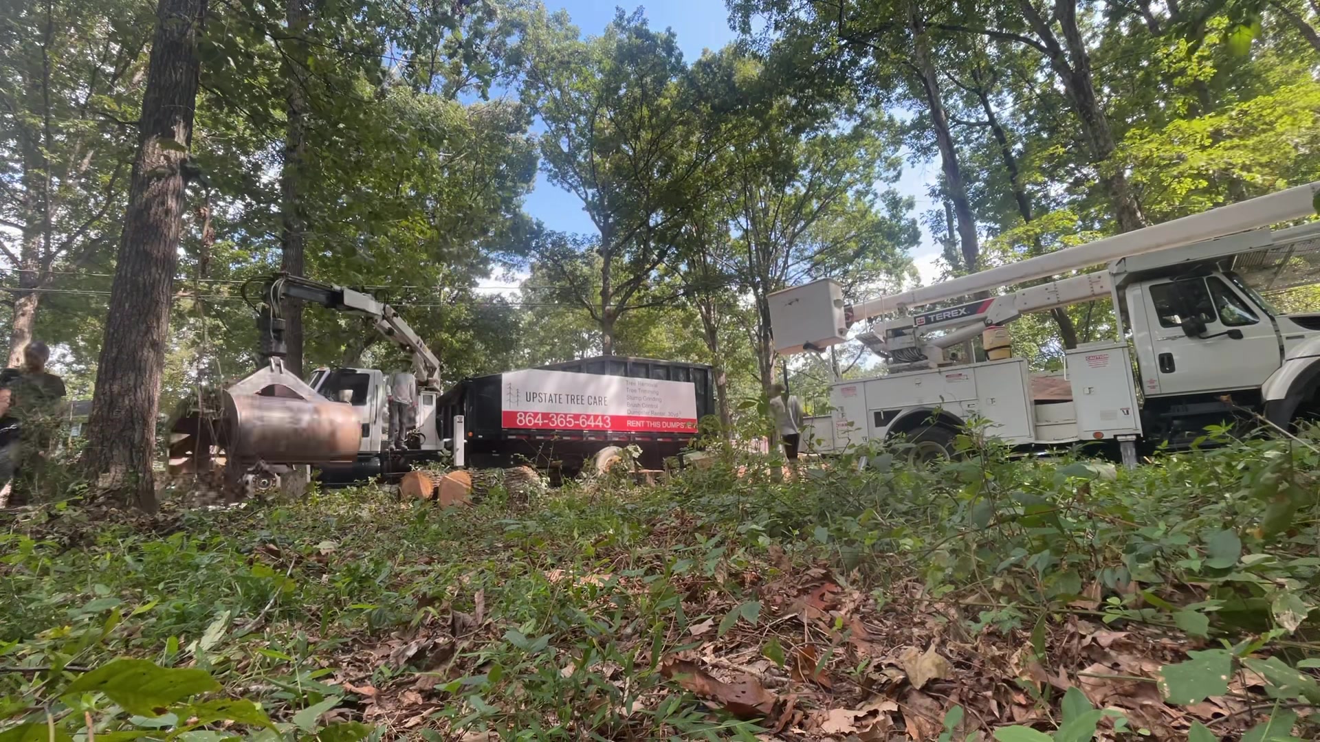 Upstate Tree Care LLC | Greenville SC