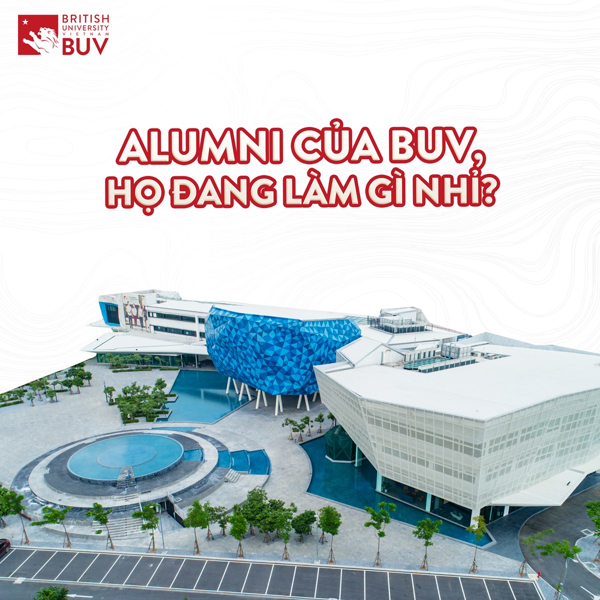 “TỐT NGHIỆP BUV RỒI... - British University Vietnam - BUV | Facebook