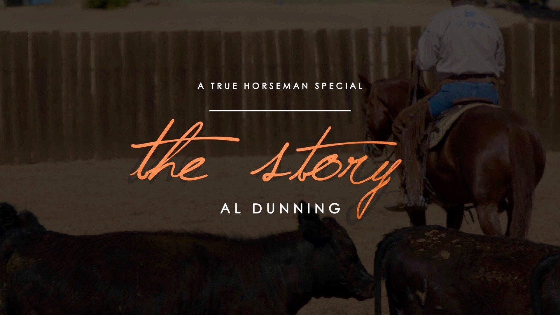 The Story - Al Dunning | Discover the story of how world famous horse ...