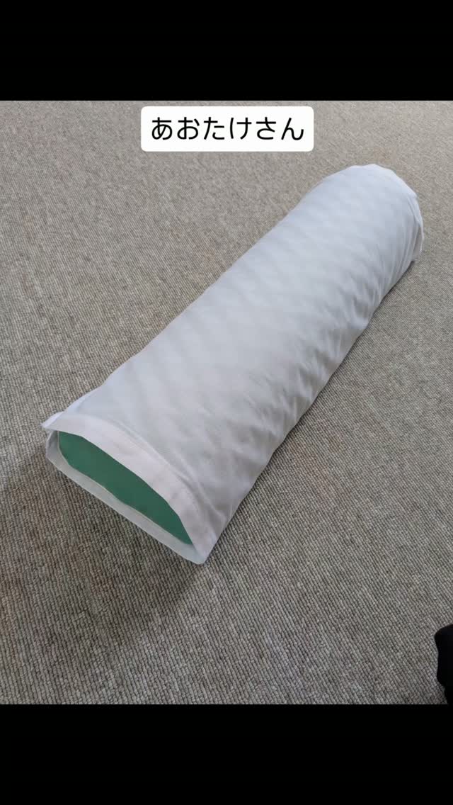 オカヤマ 脳幹NKクッション 天然ゴム製 こんにちは。少し前からお店に置いてあった天然ゴムのクッション。ご